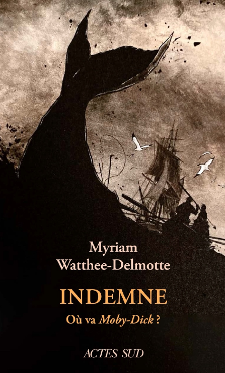 Indemne. Où va Moby-Dyck ?