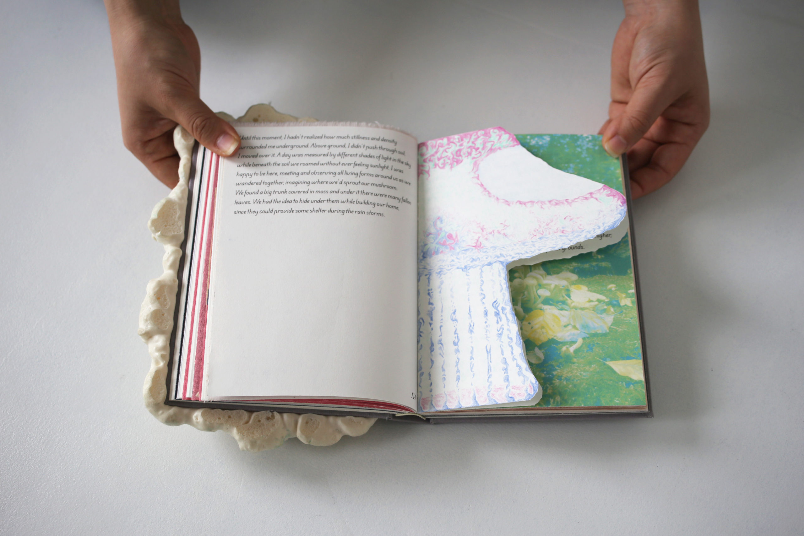Rencontre autour du livre d’artiste