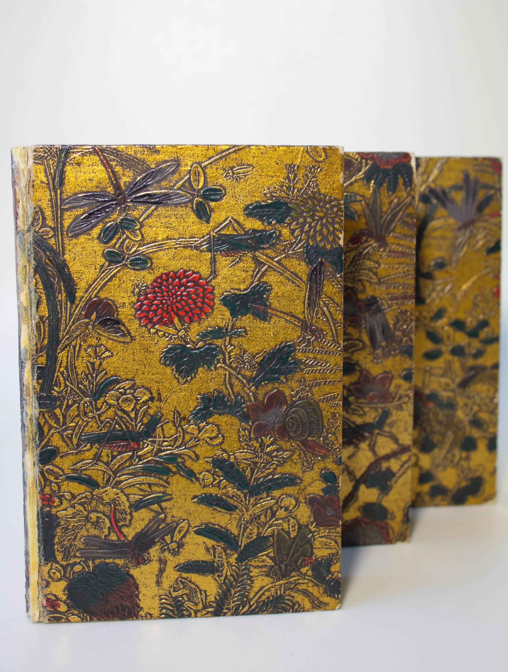 Faune, flore et reliures